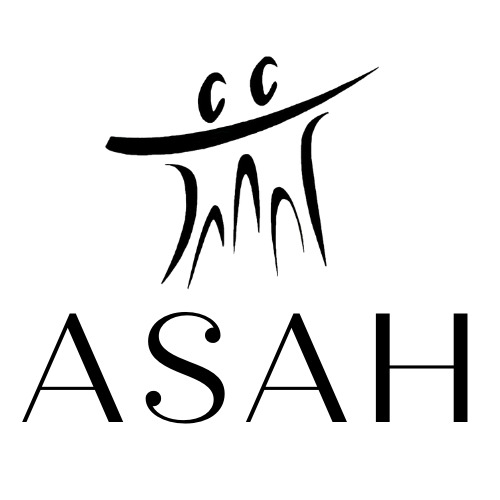 Lire la suite à propos de l’article ASAH (Association au Service de l’Action Humanitaire)